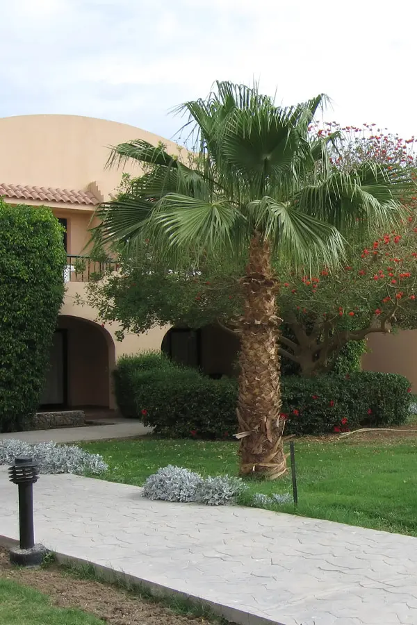 Hormigón impreso en suelo exterior en la entrada de una bonita villa